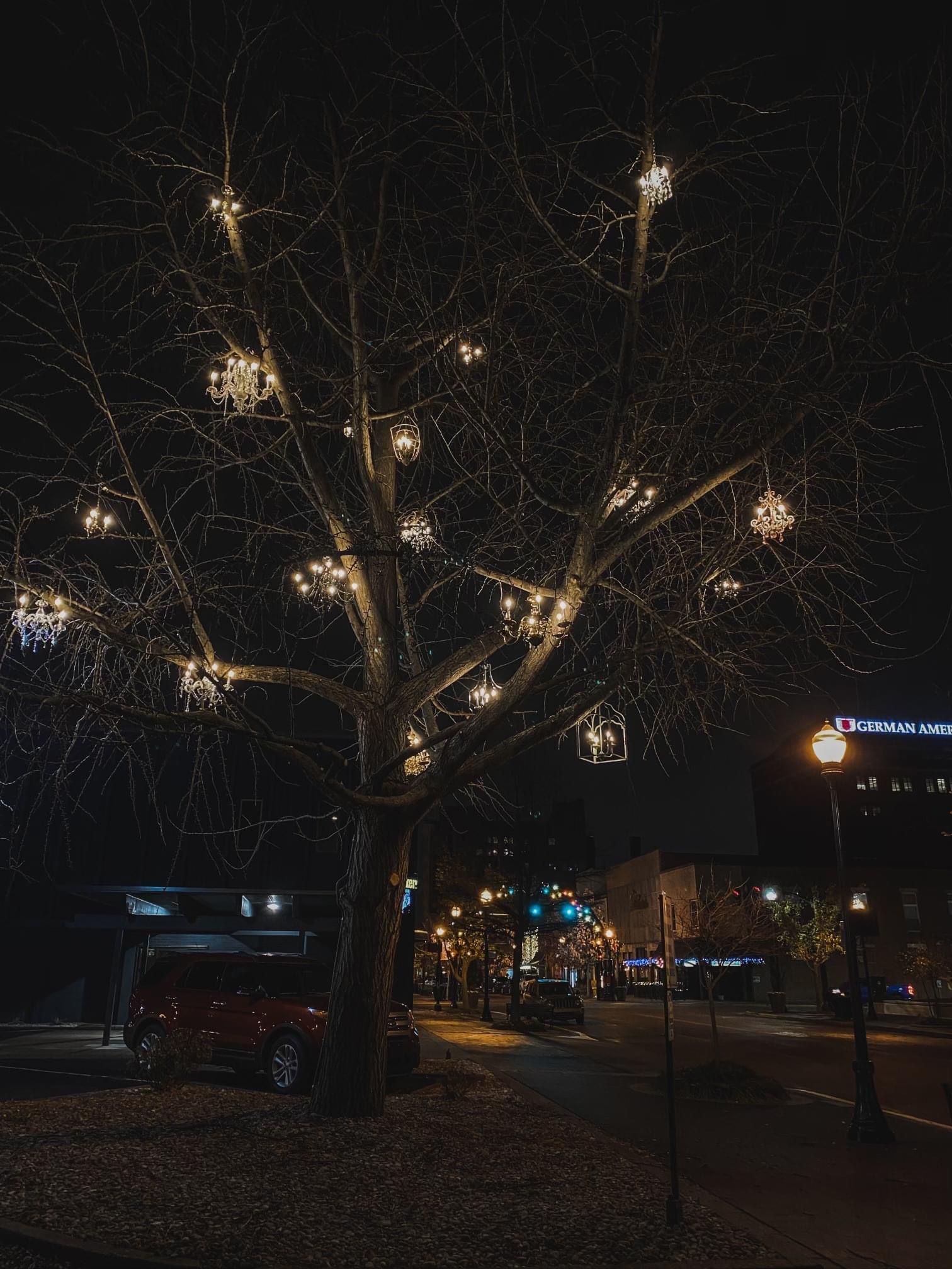 Tree lighting installation